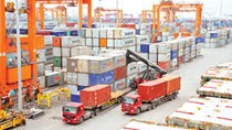 Xuất khẩu sang Srilanka đạt 131,45 triệu USD trong 8 tháng đầu năm 2020