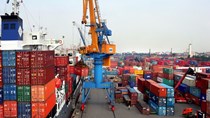 Gần 2 triệu tấn gạo xuất khẩu qua cảng TPHCM 