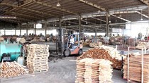 Xuất khẩu Việt Nam đang tiến về đích 