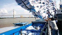EVFTA: Nâng tầm cho gạo Việt 
