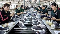 Nhiều doanh nghiệp xuất khẩu da giày có đơn hàng trở lại