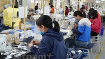 Xuất khẩu bật tăng sau COVID-19, thặng dư thương mại đạt mức kỷ lục