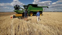 Tiềm năng mở rộng thương mại lúa mạch giữa Việt Nam - Australia 