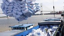Xuất khẩu gạo vào EU bằng 1/6 so với Thái Lan