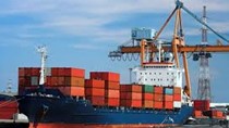 Mặt hàng gạo chiếm gần 30% tổng kim ngạch xuất khẩu sang Philippines