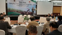 Giải pháp cho ngành mía đường Việt Nam trong tình hình mới