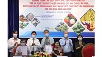 Đẩy mạnh tiêu thụ, phát triển TTXK cho các SP thế mạnh khu vực phía Nam năm 2020