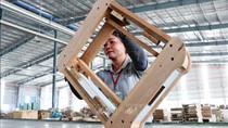 Thúc đẩy xuất khẩu nông, lâm, thủy sản về đích 41 tỷ USD 