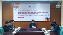 Giao thương trực tuyến doanh nghiệp Việt Nam – Trung Quốc