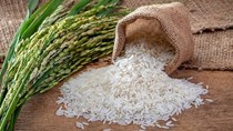 Thị trường lúa gạo ngày 24/2: Gạo nguyên liệu và thành phẩm xuất khẩu giảm