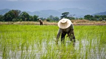 Thái Lan đưa ra kế hoạch thực hiện RCEP