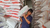 Gạo Việt Nam lập đỉnh giá mới