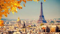 Xuất khẩu hàng hóa sang Pháp tăng nhẹ trong 2 tháng đầu năm 2021