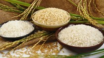 Thị trường lúa gạo ngày 16/4: Giá gạo nguyên liệu giảm