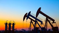 Giá dầu tăng do dự báo lạc quan về nhu cầu nhiên liệu toàn cầu phục hồi