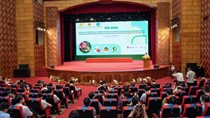 Hội nghị kết nối, xúc tiến tiêu thụ vải thiều Thanh Hà và nông sản tiêu biểu tỉnh Hải Dương năm 2021