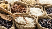 Giá lúa gạo hôm nay 1/6: Gạo nguyên liệu giảm