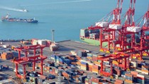Kim ngạch xuất khẩu sang Anh tăng trưởng trong 5 tháng năm 2021