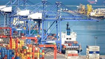 Kim ngạch xuất khẩu sang Ấn Độ đạt 2,54 tỷ USD trong 5 tháng năm 2021