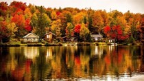 Kim ngạch xuất khẩu sang Canada tăng trưởng trong 5 tháng năm 2021
