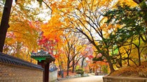 Kim ngạch xuất khẩu sang Hàn Quốc đạt 8,7 tỷ USD trong 5 tháng năm 2021
