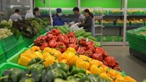 Cánh cửa tiếp cận thị trường Anh cho doanh nghiệp xuất khẩu nông sản Việt