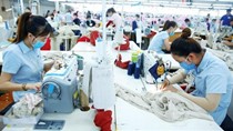Thương mại Việt Nam – EU: Đóng góp tích cực từ EVFTA