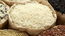Giá lúa gạo hôm nay 28/7: Gạo nguyên liệu và thành phẩm xuất khẩu đi ngang