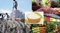 Hoạt động xuất nhập khẩu vẫn duy trì tốc độ tăng trưởng