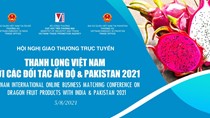 Sắp diễn ra Hội nghị giao thương trực tuyến thanh long Việt Nam với các đối tác Ấn Độ và Pakistan 