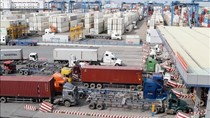 Xuất khẩu sang Thái Lan 6 tháng đầu năm đạt trên 3,03 tỷ USD