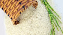 Giá lúa gạo hôm nay 9/8: Gạo nguyên liệu tiếp tục tăng
