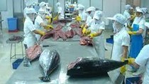 Algeria tạm ngừng nhập khẩu nhiều mặt hàng có nguồn gốc từ động vật