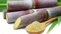 Thông báo tiếp nhận hồ sơ đề nghị miễn trừ áp dụng biện pháp CBPG và chống trợ cấp tháng 9/2021