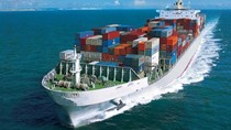 Xuất khẩu sang Indonesia 8 tháng đầu năm 2021 tăng 44,2%