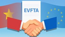 Chính sách cạnh tranh trong Hiệp định EVFTA