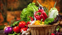 Xuất khẩu rau quả tươi sang Châu Âu- Những yêu cầu cần biết