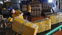 Việt Nam là thị trường lớn thứ 3 cung cấp cao su cho Ấn Độ