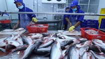 Thị trường cá tra "rộng cửa" năm 2022