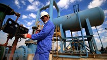 OPEC+: Biến thể Omicron chỉ tác động tạm thời tới thị trường dầu