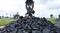 Indonesia tạm cấm xuất khẩu than trong tháng 01/2022