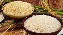 Giá lúa gạo hôm nay 5/1 ổn định