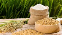 Gạo Việt Nam ngày càng được thị trường EU ưa chuộng