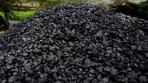 Nhập khẩu than của Trung Quốc giảm trong tháng 12/2021