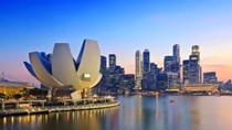 Kim ngạch xuất khẩu sang Singapore tăng 31,3% trong năm 2021