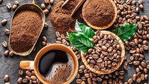 Đầu tư theo chiều sâu giúp xuất khẩu cà phê tiếp tục bứt phá