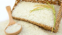 Thị trường lúa gạo ngày 24/3 ổn định