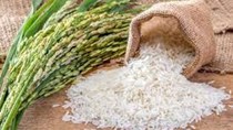 Thị trường lúa gạo ngày 30/3: Gạo nguyên liệu giảm