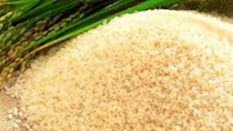 Thị trường lúa gạo ngày 15/4: Gạo nguyên liệu ổn định