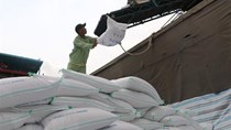 Xuất khẩu gạo của Việt Nam sang EU tăng mạnh nhờ Hiệp định EVFTA